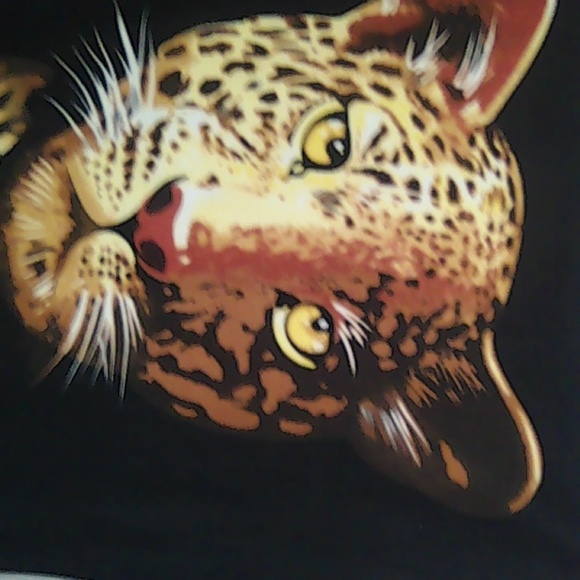 Blanket Throw - Picture 2 of 4